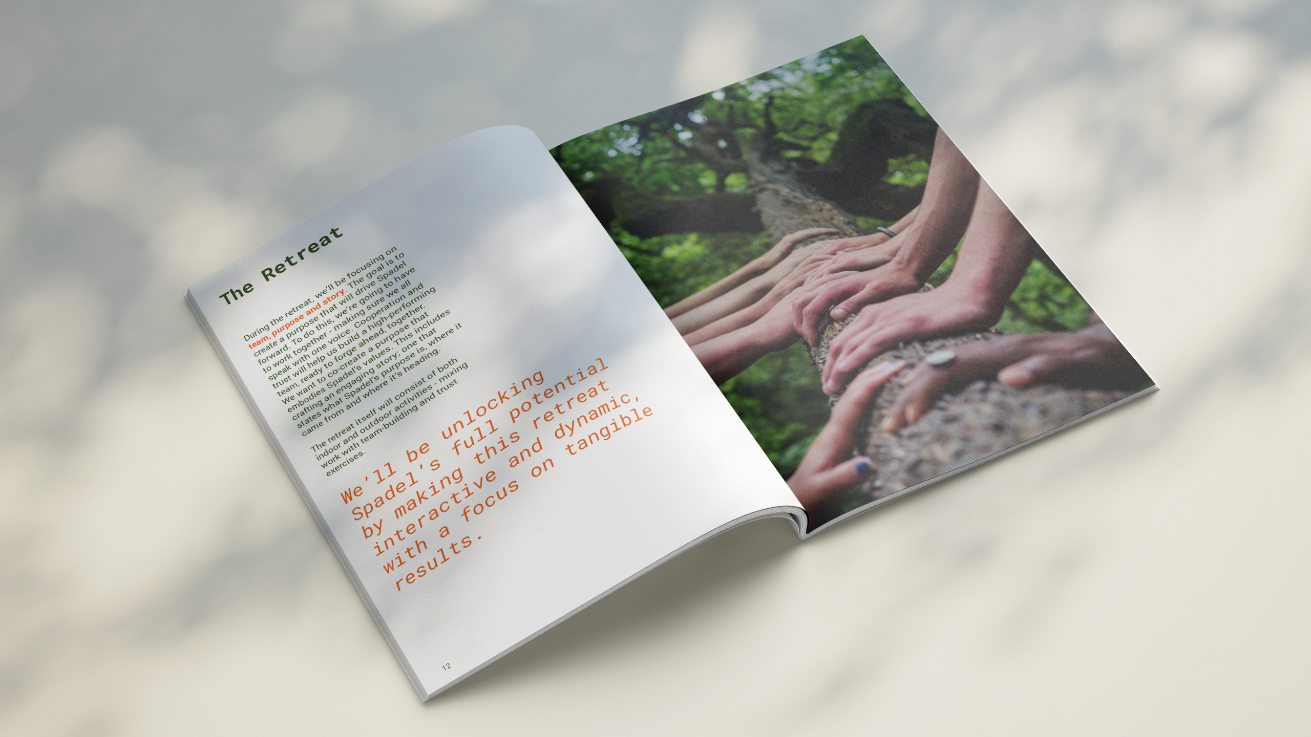 A purpose-driven transformation for Spadel - Cartoonbase