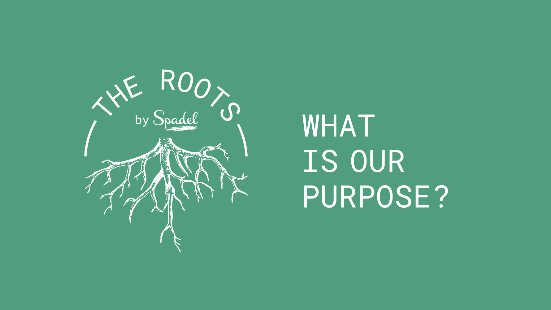 A purpose-driven transformation for Spadel - Cartoonbase