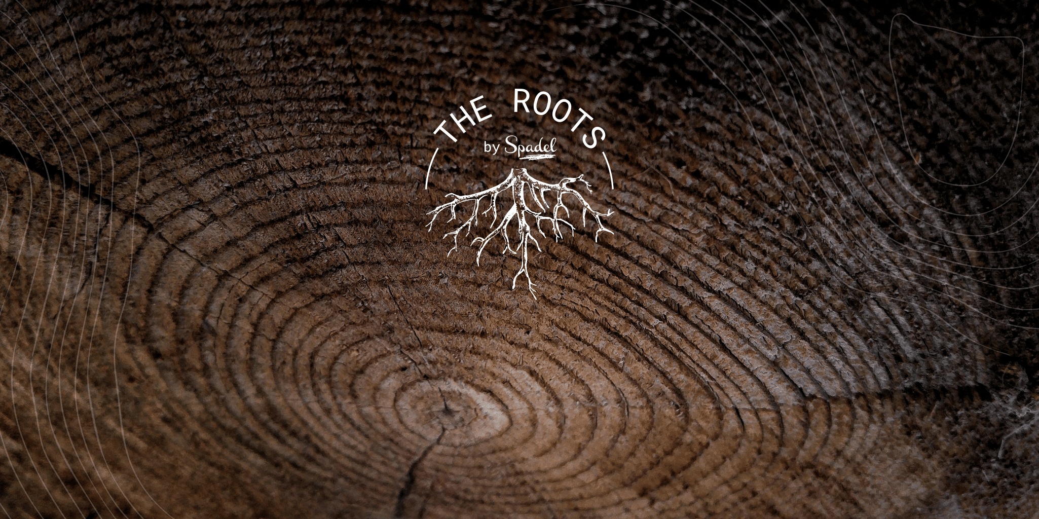 A purpose-driven transformation for Spadel - Cartoonbase