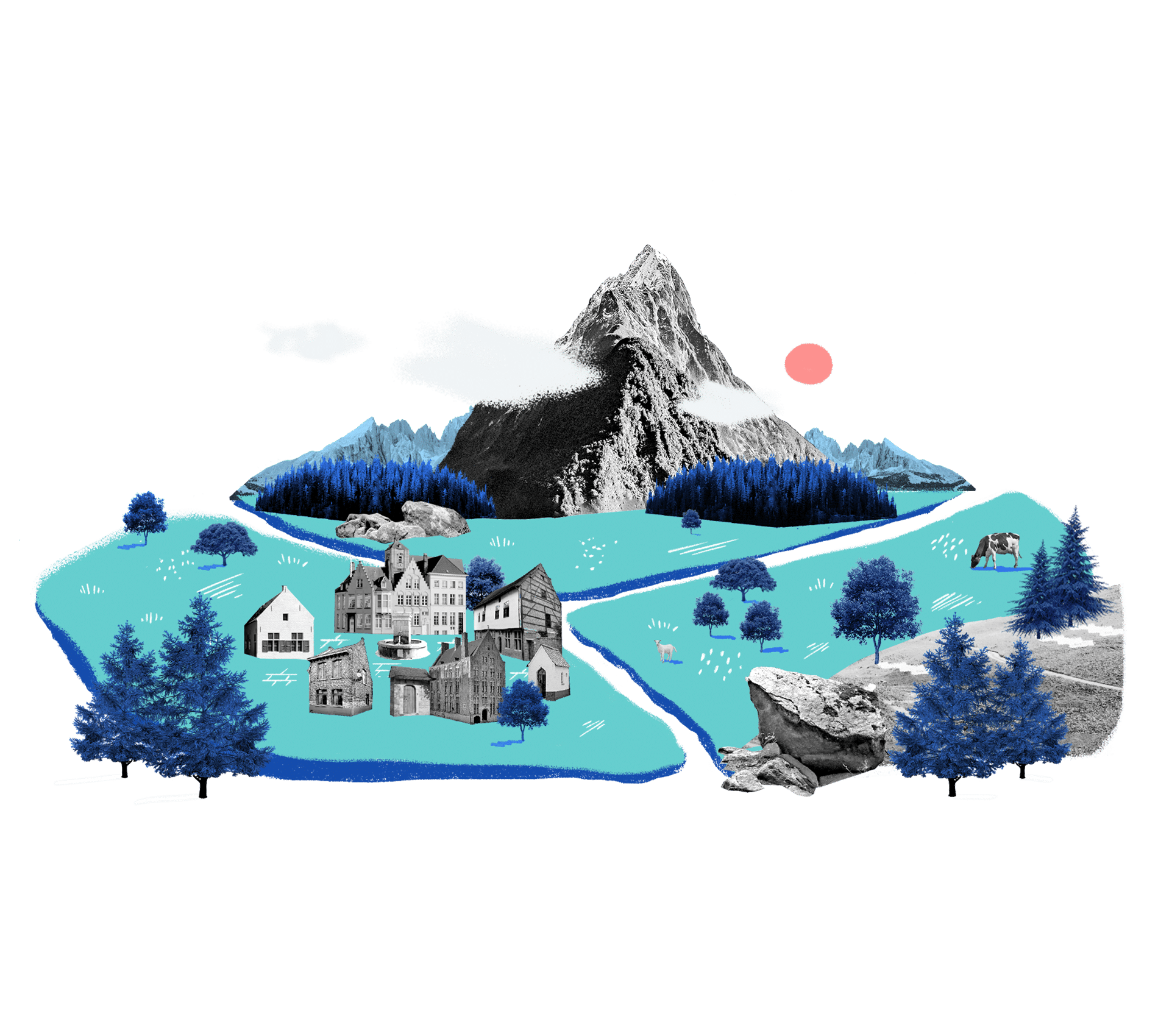 ADN – Storytelling to drive digitisation.