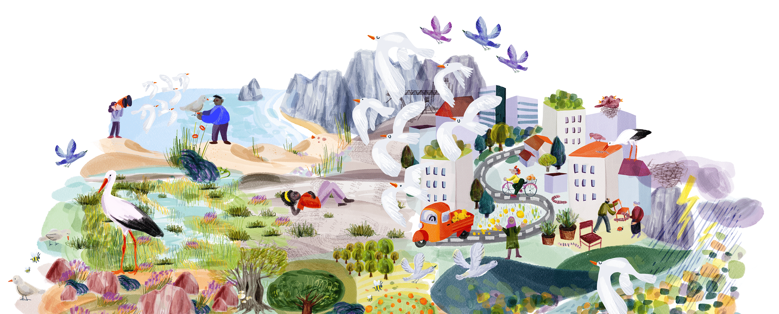 IUCN_Case_Header
