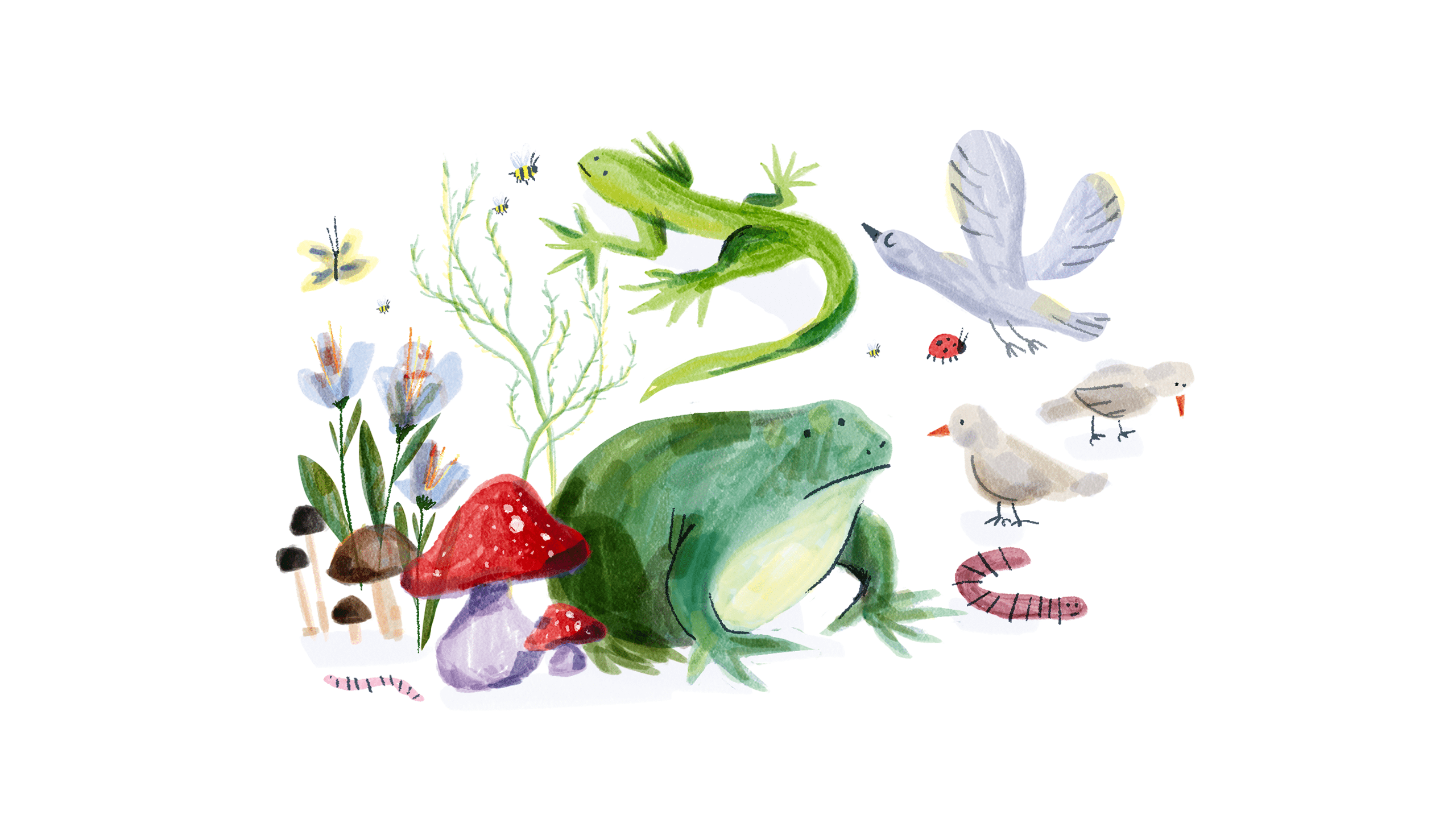 IUCN_Case_Images_08