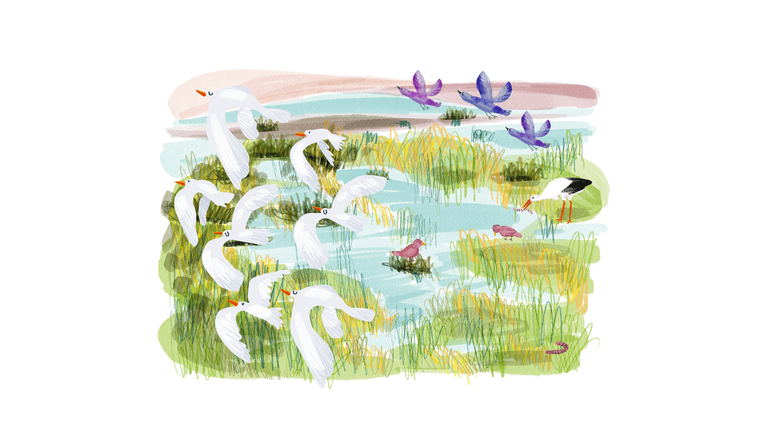 IUCN_Case_Images_13